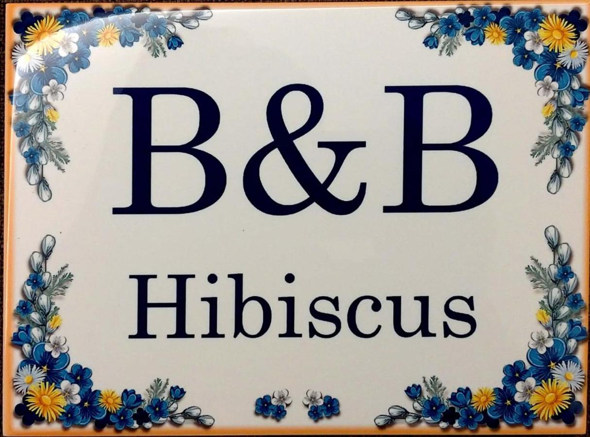 B&B Hibiscus ปอร์โต ซันเตลปีดิโอ ภายนอก รูปภาพ